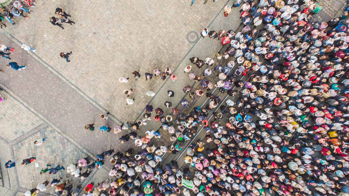 School of fish swimming together in the ocean