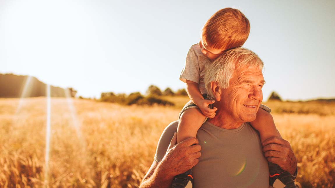 School of fish swimming together in the ocean