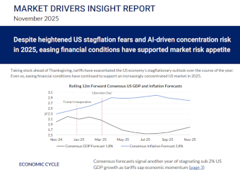 Despite heightened US stagflation fears and AI-driven concentration risk in 2025, easing financial conditions have supported market risk appetite